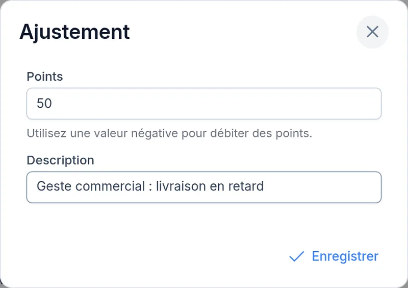 Ajustement manuel de points